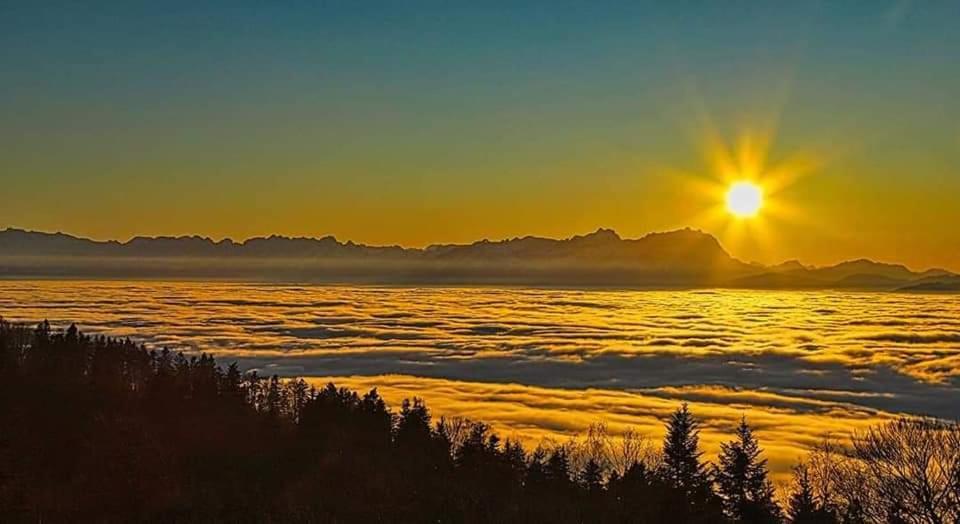 Апартаменты 7 Heaven Айхенберг Экстерьер фото